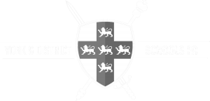 York SchoolBoys Football Logo